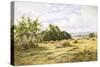 Hampshire Cornfield-Henry Parker-Stretched Canvas