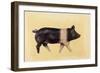 Hampshire pig, 2016-Francesca Sanders-Framed Giclee Print