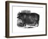 Hampshire Sow, 1848-null-Framed Giclee Print