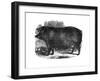 Hampshire Sow, 1848-null-Framed Giclee Print