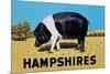 Hampshires-null-Mounted Premium Giclee Print