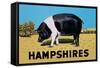 Hampshires-null-Framed Stretched Canvas