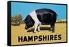 Hampshires-null-Framed Stretched Canvas