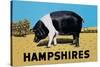 Hampshires-null-Stretched Canvas
