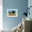 Hampshires-null-Framed Art Print displayed on a wall