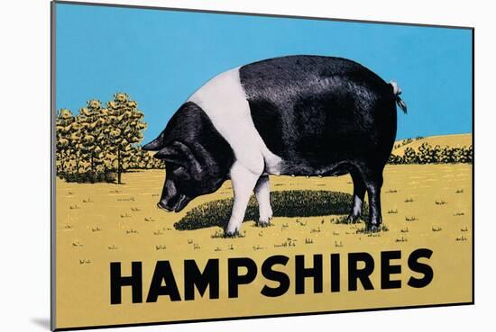 Hampshires-null-Mounted Art Print