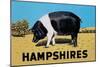 Hampshires-null-Mounted Art Print