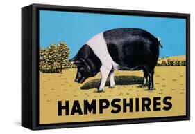 Hampshires-null-Framed Stretched Canvas