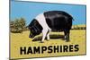 Hampshires-null-Mounted Premium Giclee Print