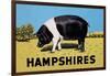 Hampshires-null-Framed Art Print