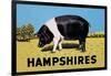 Hampshires-null-Framed Art Print