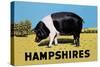 Hampshires-null-Stretched Canvas