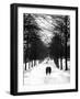 Hampstead Heath 1939-Fred Musto-Framed Photographic Print