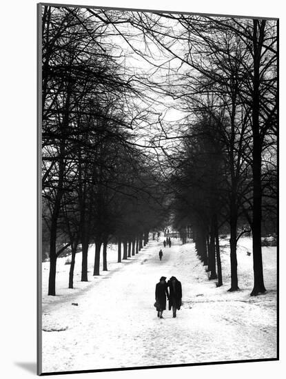 Hampstead Heath 1939-Fred Musto-Mounted Photographic Print