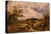 Hampstead Heath, C.1855-56 (Oil on Canvas)-John Linnell-Stretched Canvas