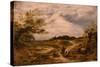 Hampstead Heath, C.1855-56 (Oil on Canvas)-John Linnell-Stretched Canvas