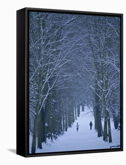 Hampstead Heath in Winter, London, England, United Kingdom, Europe-Ben Pipe-Framed Stretched Canvas