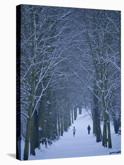 Hampstead Heath in Winter, London, England, United Kingdom, Europe-Ben Pipe-Stretched Canvas