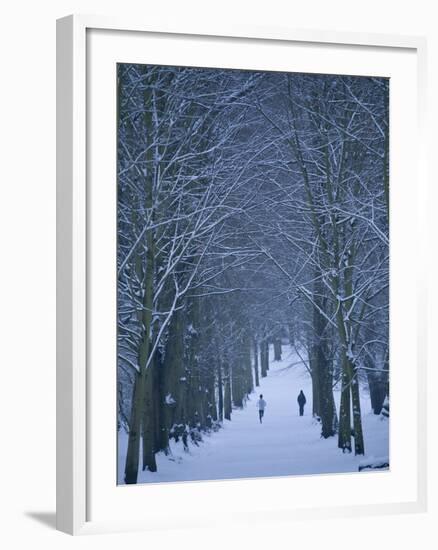 Hampstead Heath in Winter, London, England, United Kingdom, Europe-Ben Pipe-Framed Photographic Print