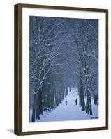 Hampstead Heath in Winter, London, England, United Kingdom, Europe-Ben Pipe-Framed Photographic Print