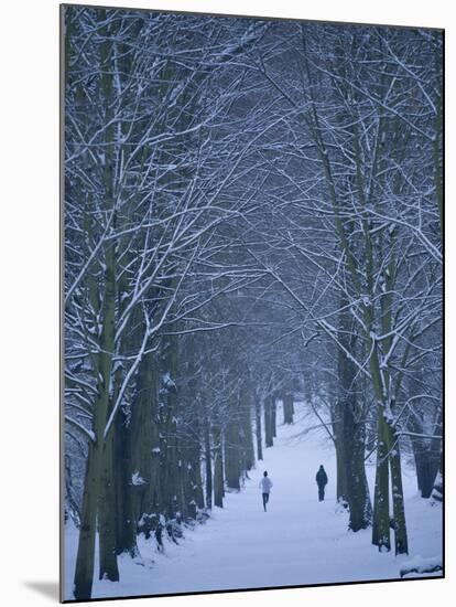 Hampstead Heath in Winter, London, England, United Kingdom, Europe-Ben Pipe-Mounted Photographic Print