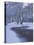 Hampstead Heath in Winter, North London, England, United Kingdom, Europe-Ben Pipe-Stretched Canvas