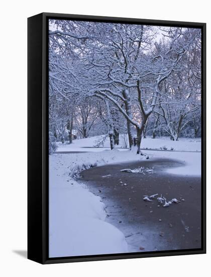 Hampstead Heath in Winter, North London, England, United Kingdom, Europe-Ben Pipe-Framed Stretched Canvas