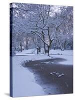 Hampstead Heath in Winter, North London, England, United Kingdom, Europe-Ben Pipe-Stretched Canvas