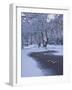 Hampstead Heath in Winter, North London, England, United Kingdom, Europe-Ben Pipe-Framed Photographic Print
