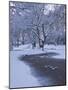 Hampstead Heath in Winter, North London, England, United Kingdom, Europe-Ben Pipe-Mounted Photographic Print