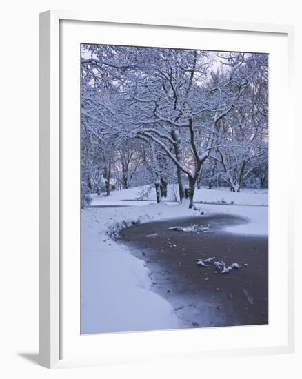 Hampstead Heath in Winter, North London, England, United Kingdom, Europe-Ben Pipe-Framed Photographic Print