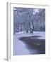 Hampstead Heath in Winter, North London, England, United Kingdom, Europe-Ben Pipe-Framed Photographic Print