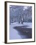 Hampstead Heath in Winter, North London, England, United Kingdom, Europe-Ben Pipe-Framed Photographic Print