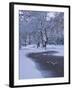 Hampstead Heath in Winter, North London, England, United Kingdom, Europe-Ben Pipe-Framed Photographic Print