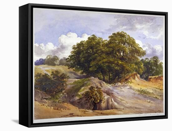 Hampstead Heath, London, C1843-null-Framed Stretched Canvas