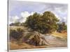 Hampstead Heath, London, C1843-null-Stretched Canvas