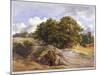 Hampstead Heath, London, C1843-null-Mounted Giclee Print