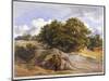 Hampstead Heath, London, C1843-null-Mounted Giclee Print