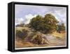 Hampstead Heath, London, C1843-null-Framed Stretched Canvas