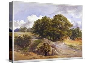 Hampstead Heath, London, C1843-null-Stretched Canvas