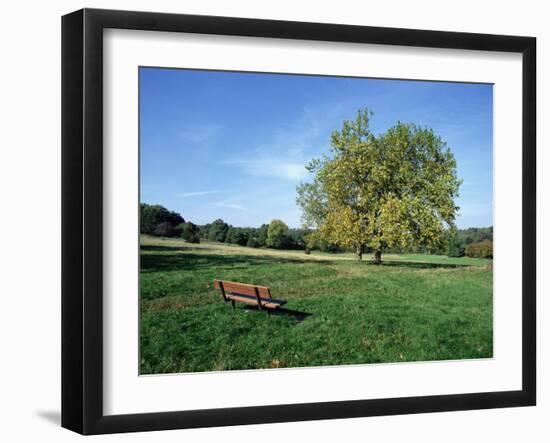 Hampstead Heath, London, England, United Kingdom-Ethel Davies-Framed Photographic Print