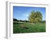 Hampstead Heath, London, England, United Kingdom-Ethel Davies-Framed Photographic Print