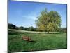 Hampstead Heath, London, England, United Kingdom-Ethel Davies-Mounted Photographic Print