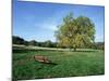 Hampstead Heath, London, England, United Kingdom-Ethel Davies-Mounted Photographic Print