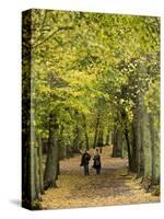 Hampstead Heath, North London, England, United Kingdom, Europe-Ben Pipe-Stretched Canvas