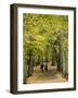 Hampstead Heath, North London, England, United Kingdom, Europe-Ben Pipe-Framed Photographic Print