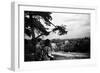 Hampstead Heath-Staff-Framed Photographic Print