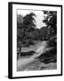 Hampstead Heath-Fred Musto-Framed Photographic Print