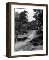 Hampstead Heath-Fred Musto-Framed Photographic Print