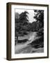 Hampstead Heath-Fred Musto-Framed Photographic Print